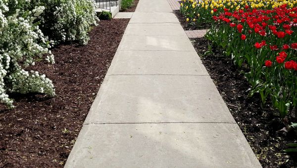 Sidewalk Concrete Replacement in Bremerton