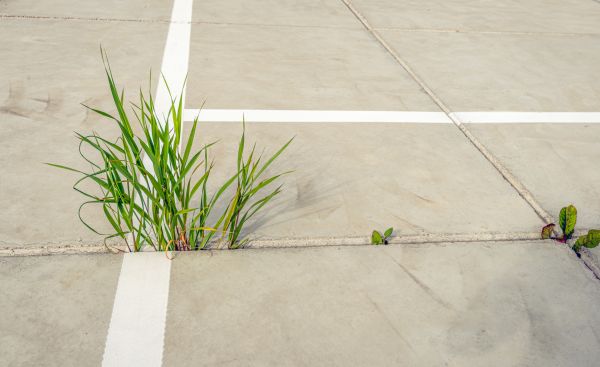 Concrete Parking Installation in Bremerton